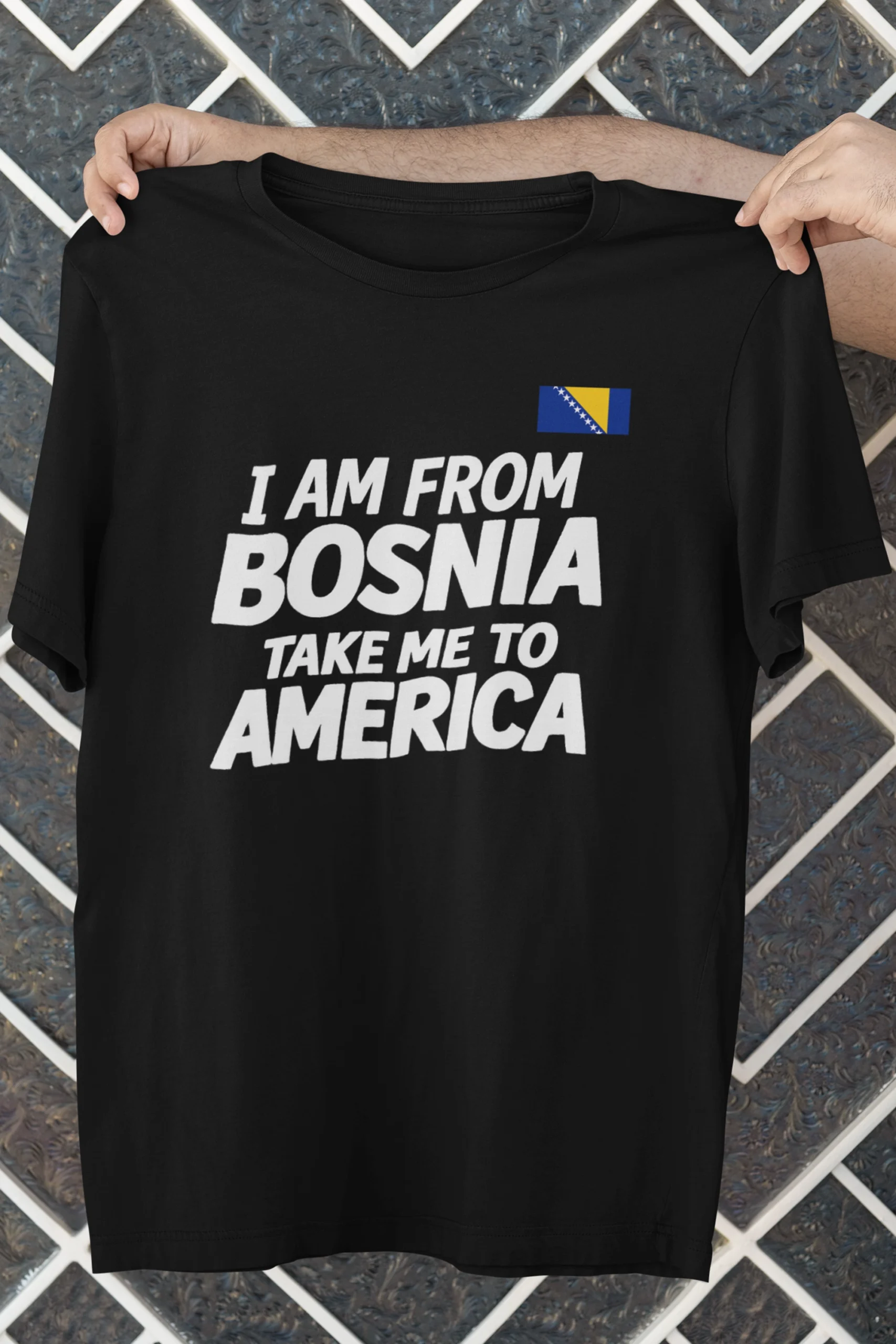 I AM FROM BOSNIA TAKE ME TO AMERICA T-SHIRT DJECA